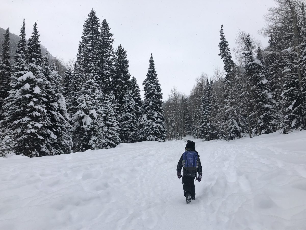 Winter Hikes Donut Falls Hiking Mamas of Utah